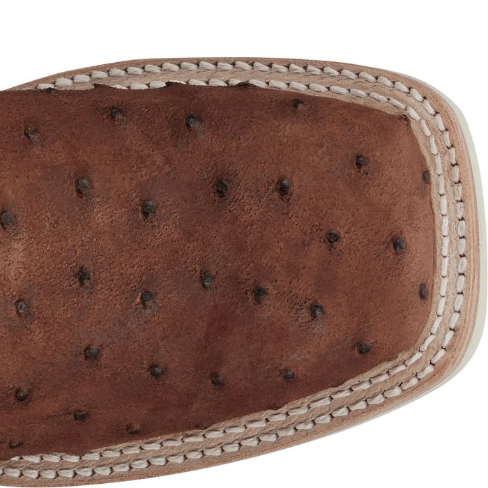 Dakota 11" Full Quill Ostrich
