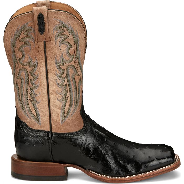 Castillo 11" Full Quill Ostrich
