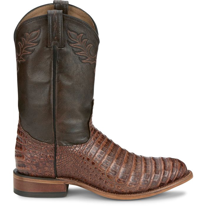 Delmonte 11" Caiman