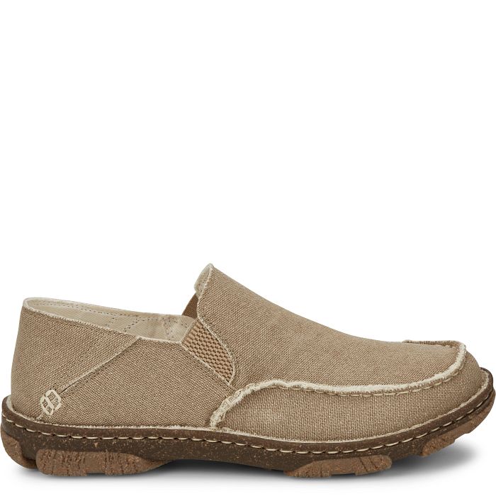 Gator