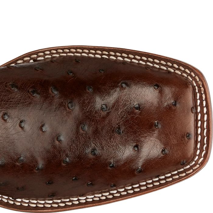 Castillo 11" Full Quill Ostrich