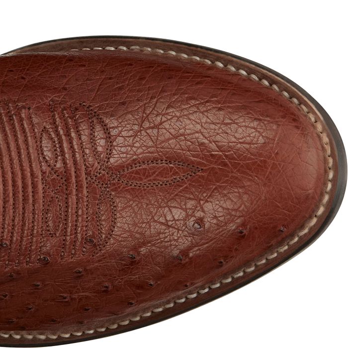 Tiberius 13" Smooth Ostrich