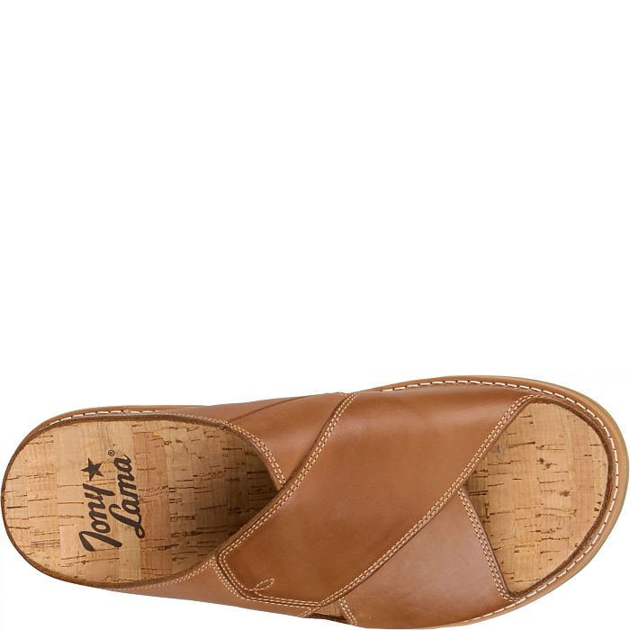 Palmeras