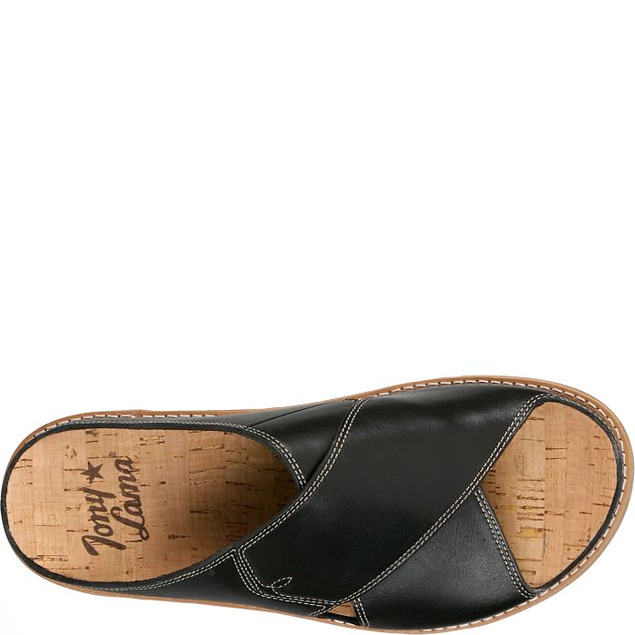 Palmeras