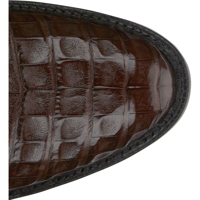 Vicente 13" Caiman