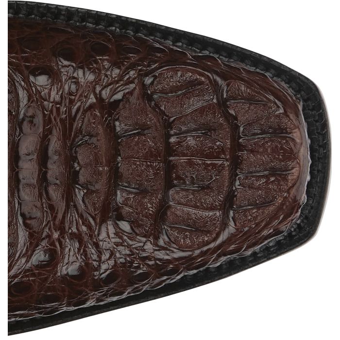Salvador 13" Hornback Caiman