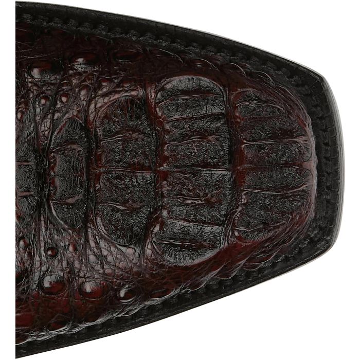 Salvador 13" Hornback Caiman