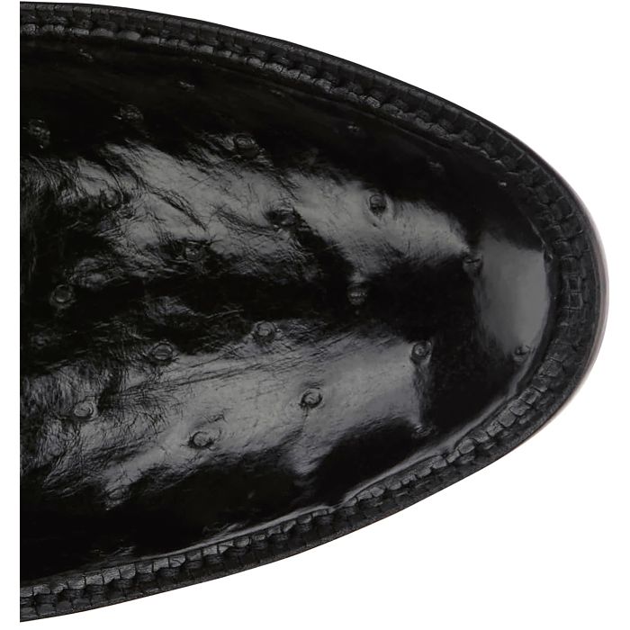 Memphis 13" Full Quill Ostrich