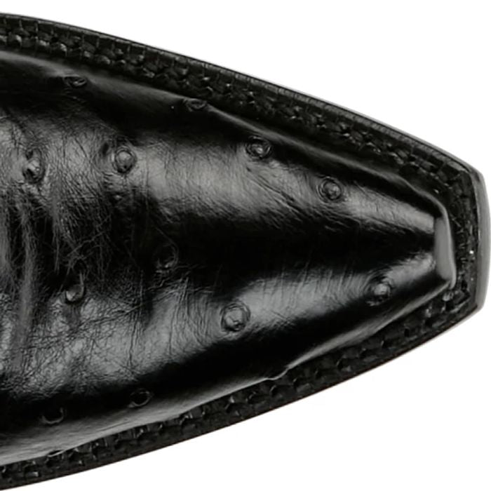 Carolina 17" Full Quill Ostrich