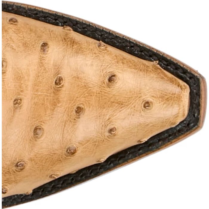 Carolina 17" Full Quill Ostrich