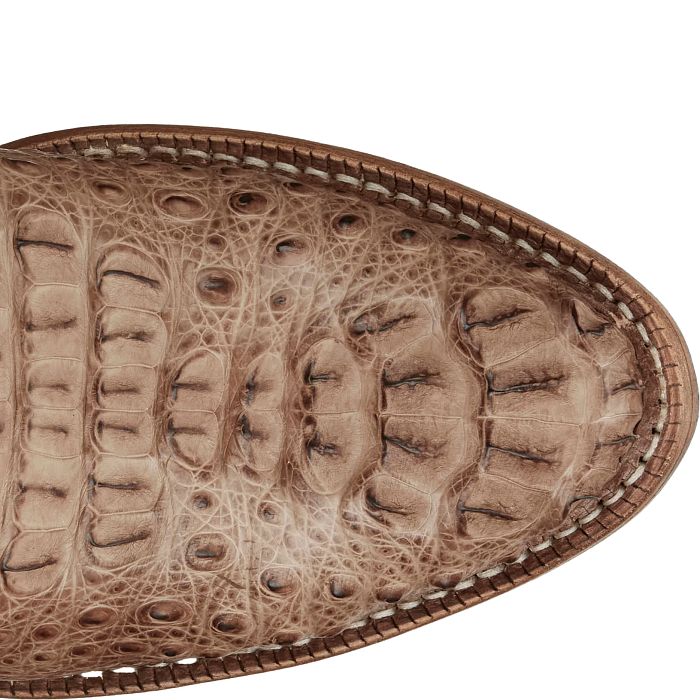 Javier 13" Hornback Caiman