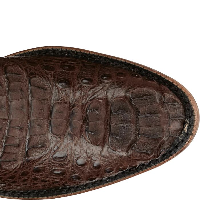 Javier 13" Hornback Caiman