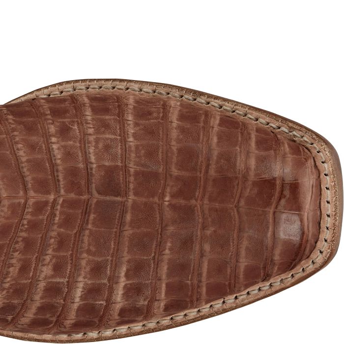 Dinero 13" Caiman