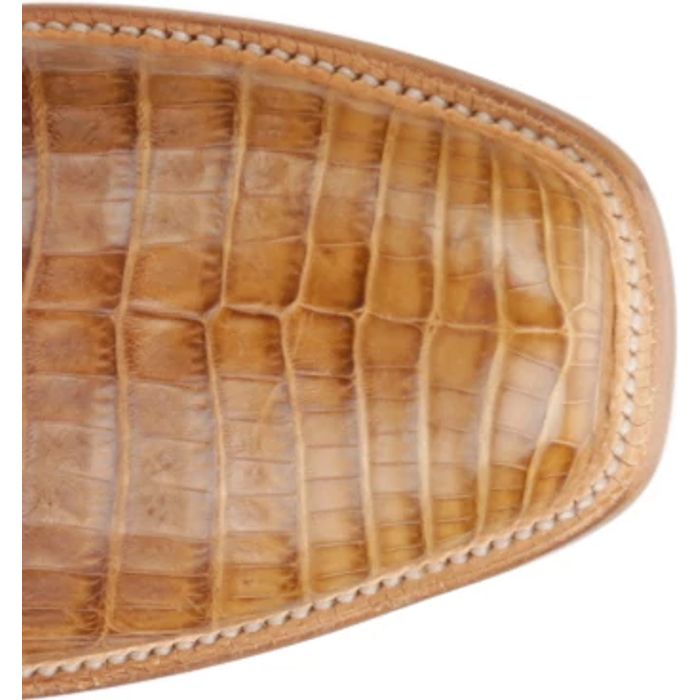 Dinero 13" Caiman