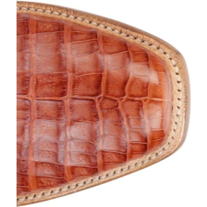 Dinero 13" Caiman