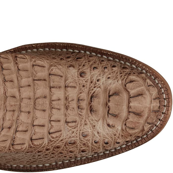 Elio 11" Hornback Caiman