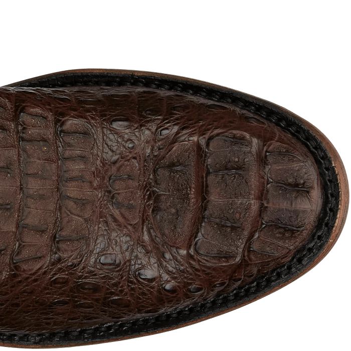 Elio 11" Hornback Caiman