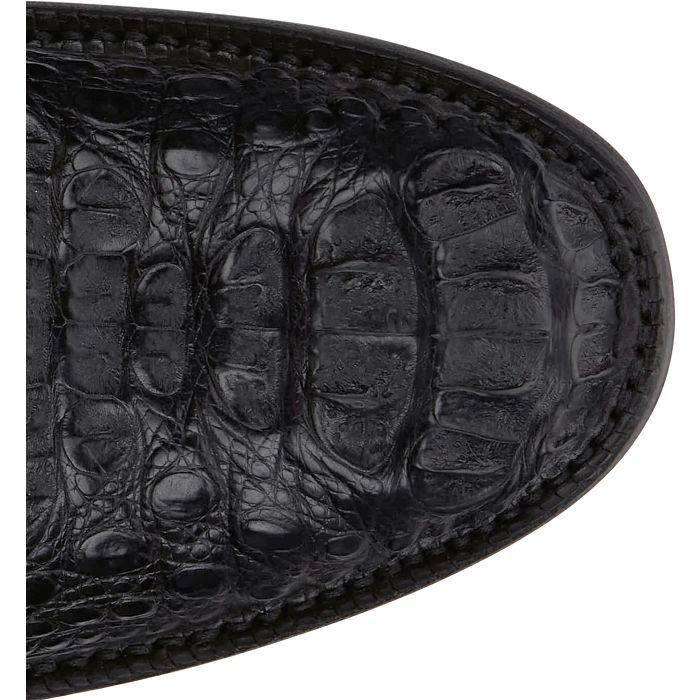 Elio 11" Hornback Caiman
