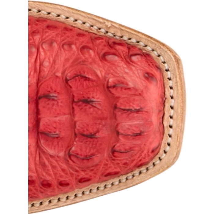Elena 13" Hornback Caiman