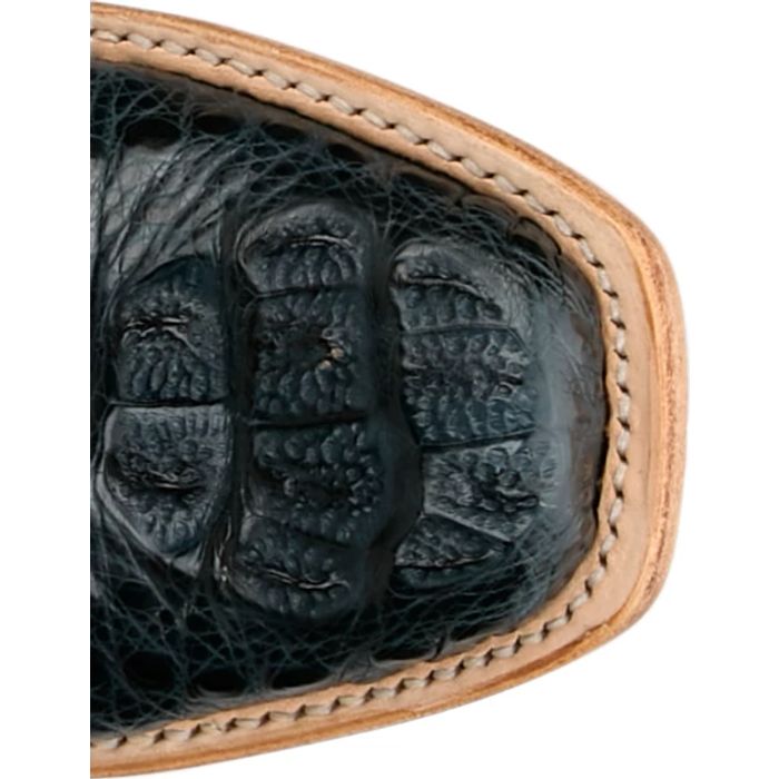 Elena 13" Hornback Caiman