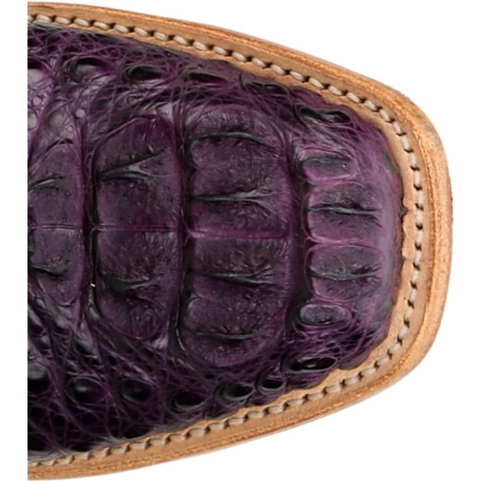 Elena 13" Hornback Caiman