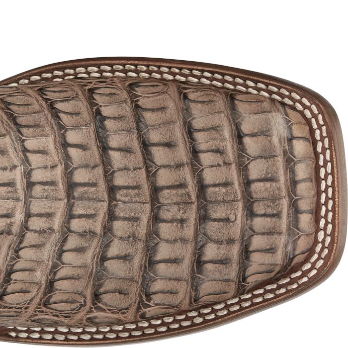 Marfa 11" Caiman