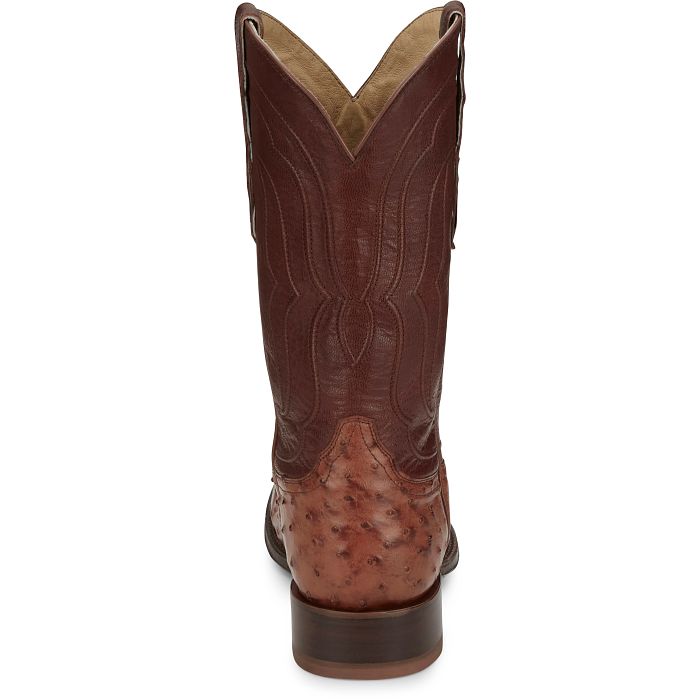 Canonero 12" Full Quill Ostrich