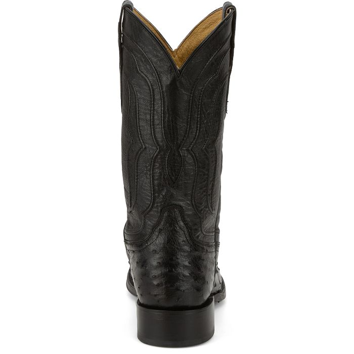 Canonero 12" Full Quill Ostrich