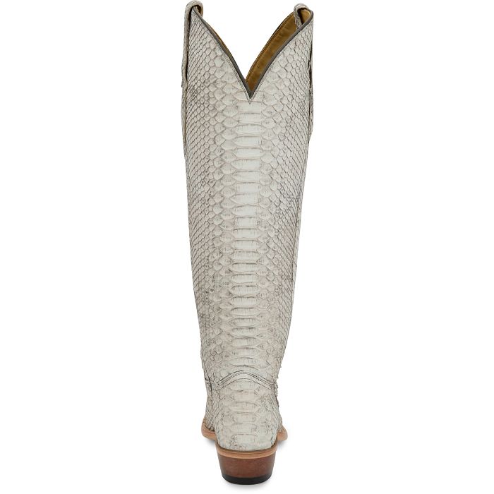 Vibora 17" Python