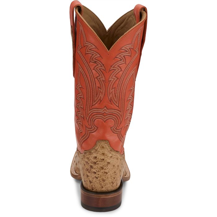 Damilano 13" Full Quill Ostrich