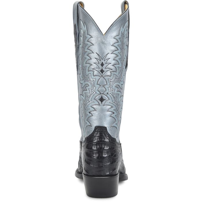 Alessandro 13" Caiman