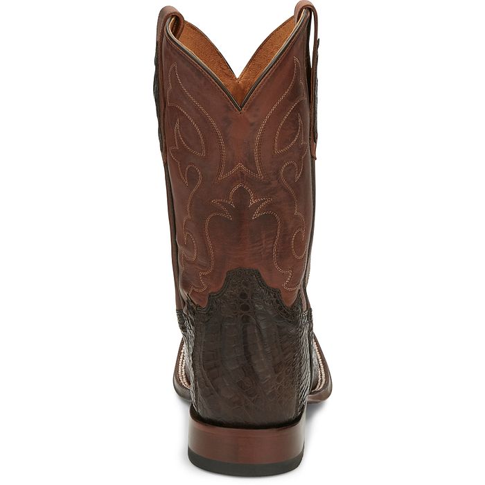 Canyon 11" Caiman Belly Tail
