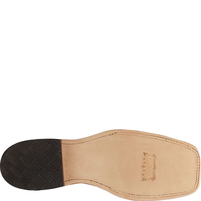 Avett 11" Western