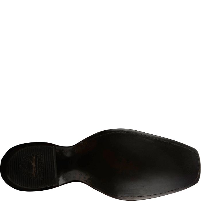 Salvador 13" Hornback Caiman