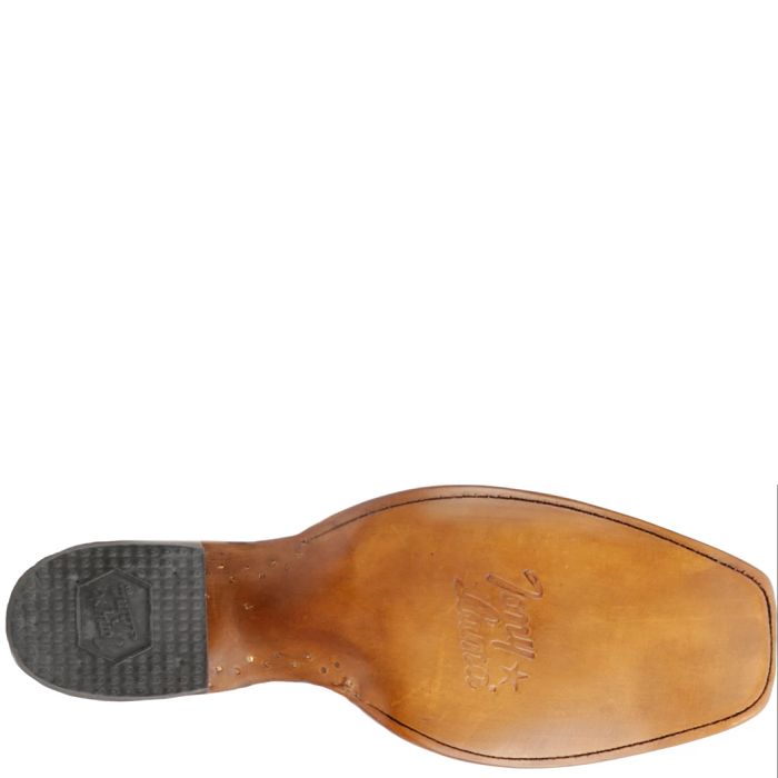 Milano 13" Caiman
