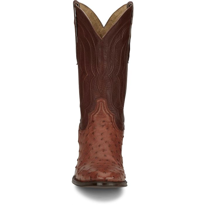 Canonero 12" Full Quill Ostrich