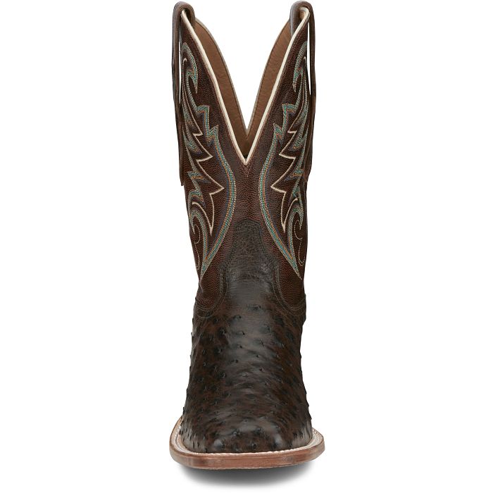 Foster 11" Full Quill Ostrich