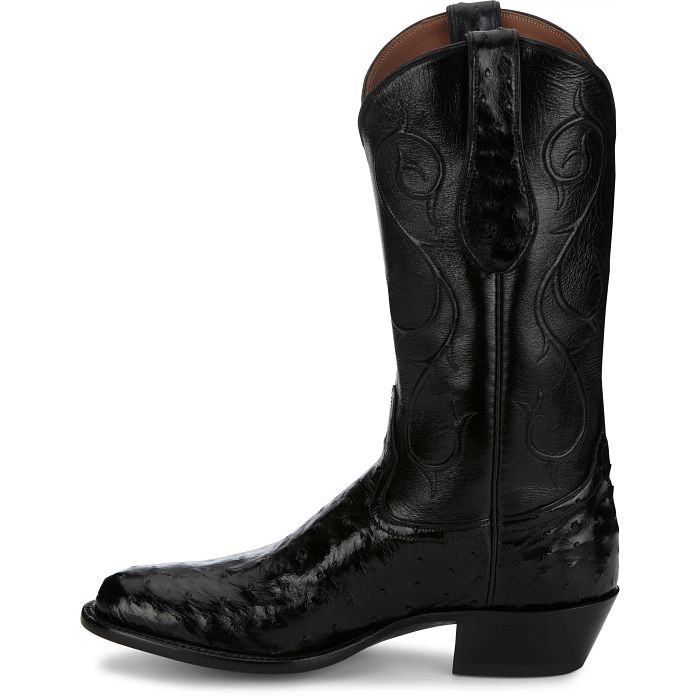 Memphis 13" Full Quill Ostrich