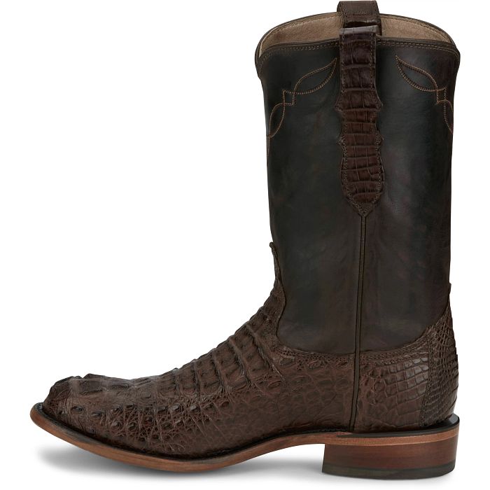 Elio 11" Hornback Caiman