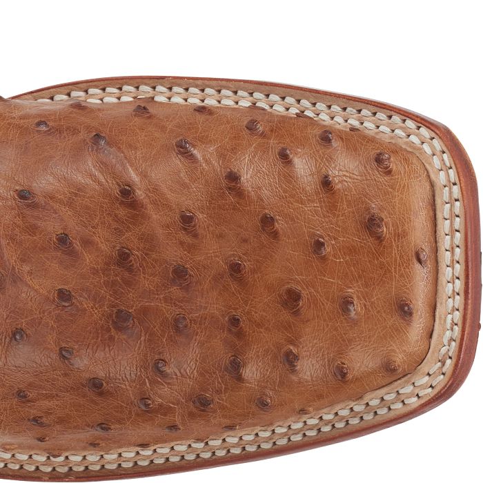 Truman 11" Full Quill Ostrich