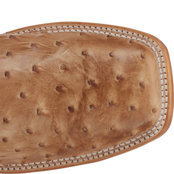 Pascoe 13" Full Quill Ostrich