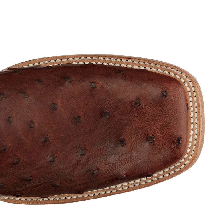 Doc Bar - Full Quill Ostrich