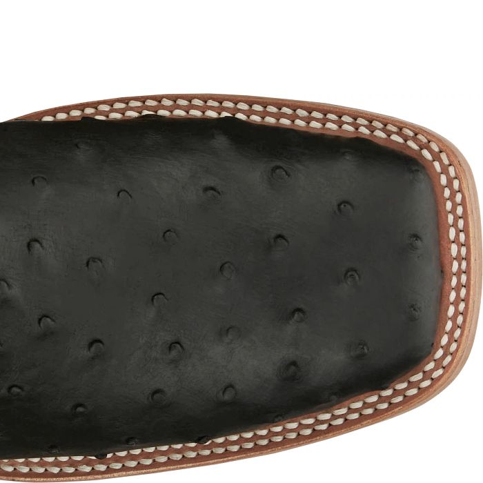 Doc Bar - Full Quill Ostrich