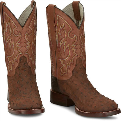 King - Full Quill Ostrich