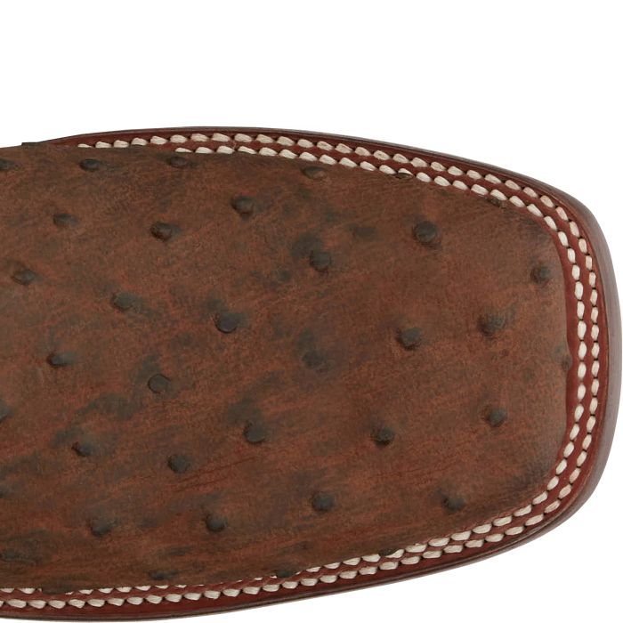 King - Full Quill Ostrich