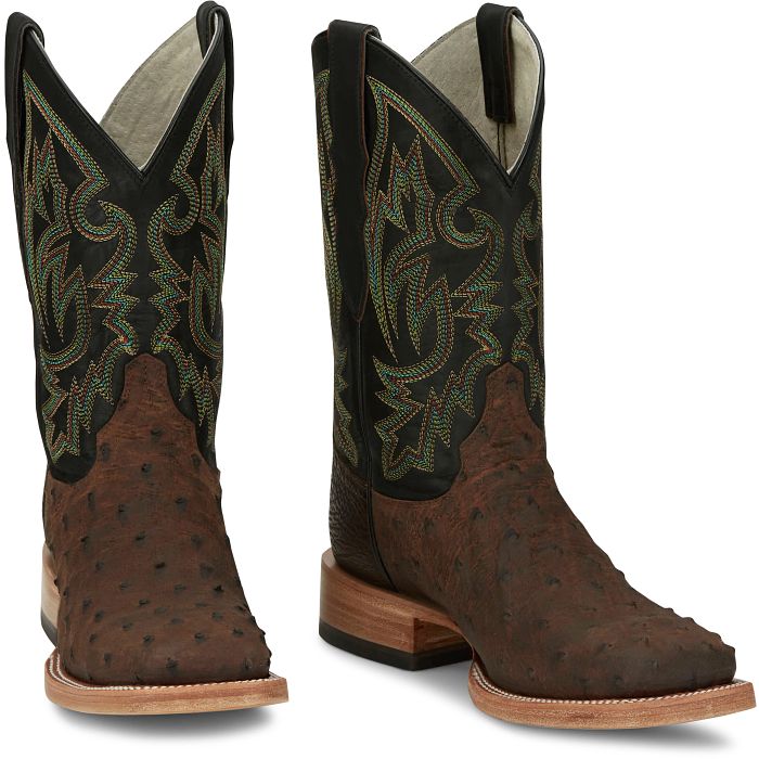 King - Full Quill Ostrich