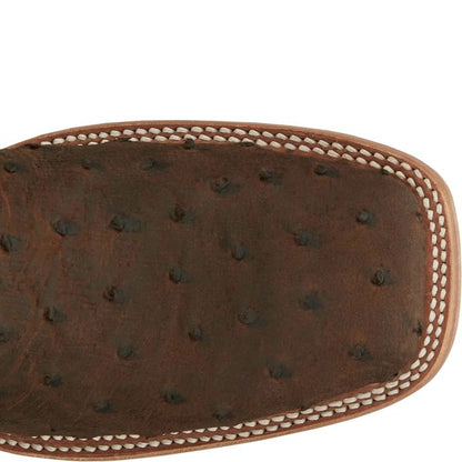 King - Full Quill Ostrich