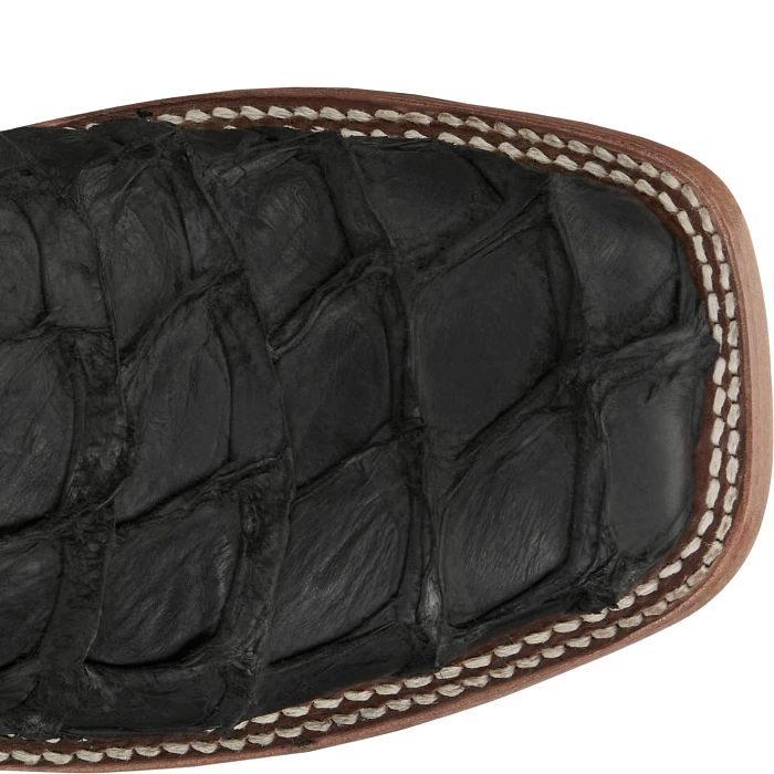 Ocean Front 11" Pirarucu