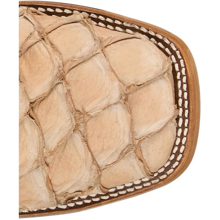 Ocean View 11" Pirarucu