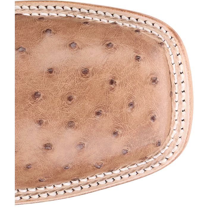 Moseley 11" Full Quill Ostrich